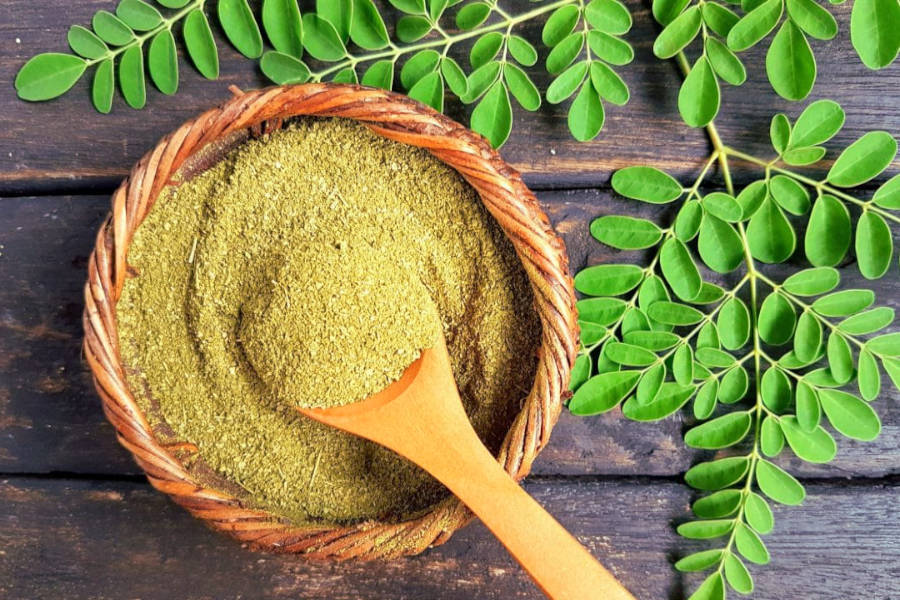 moringa viagra naturale